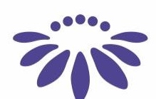 Logo ensa